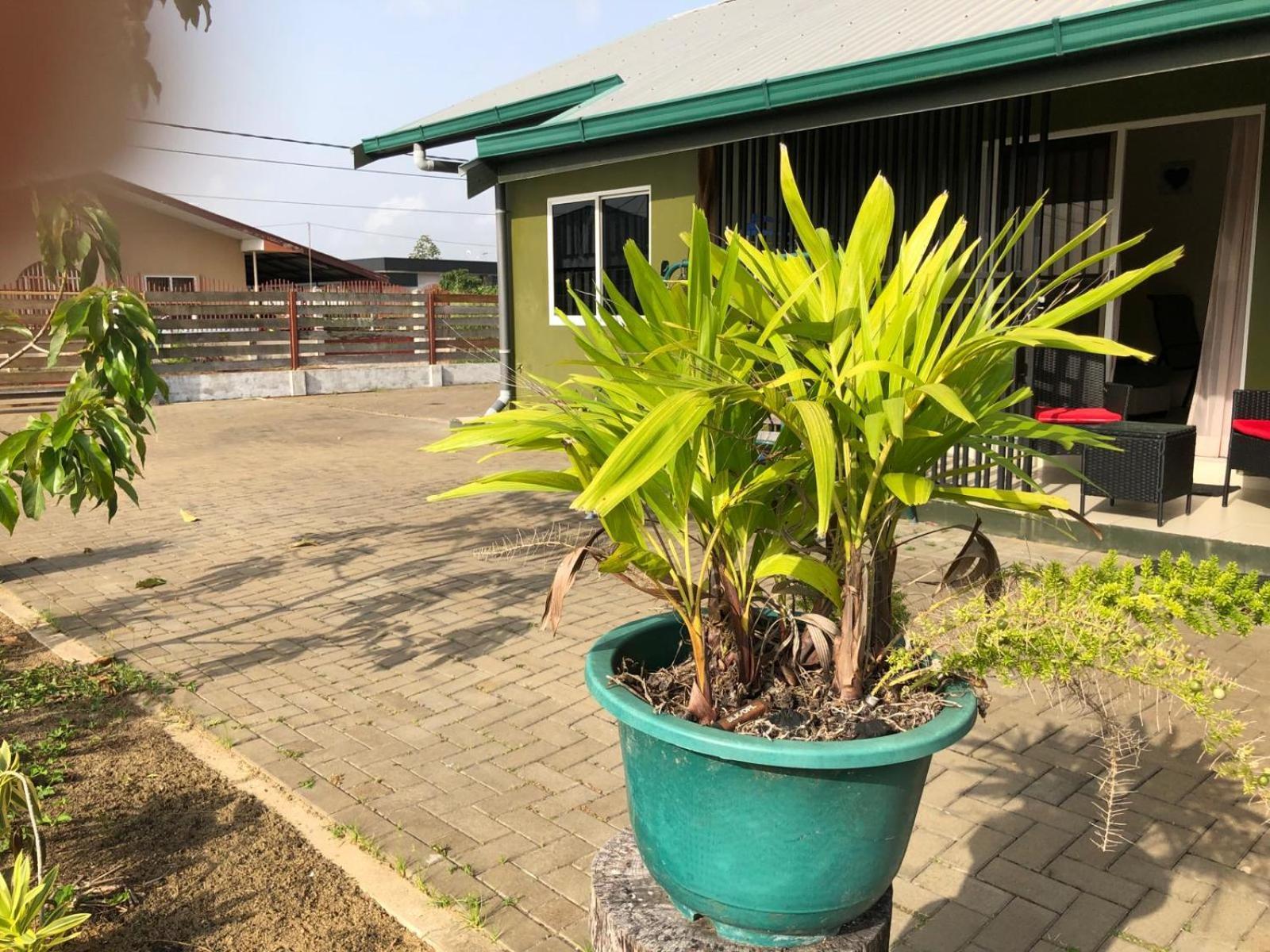 Grapefruitstraat Lägenhet Paramaribo Exteriör bild