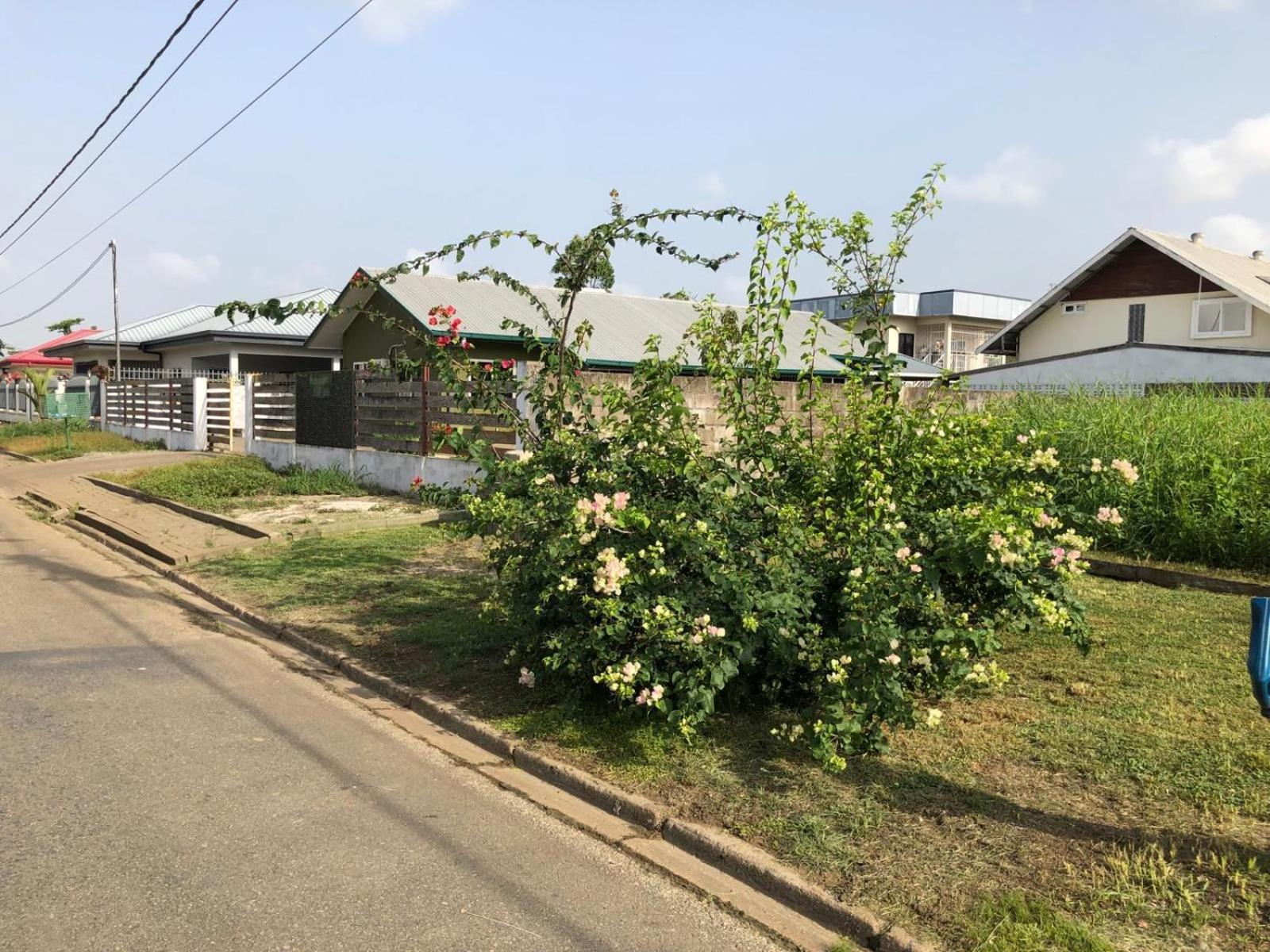 Grapefruitstraat Lägenhet Paramaribo Exteriör bild